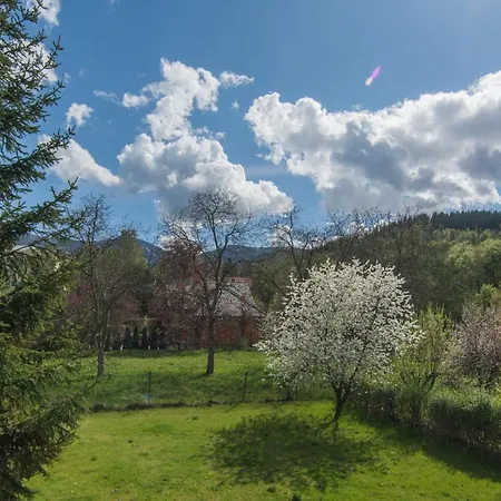 Hotelove Z Biokominkiem Stara Kuznia *