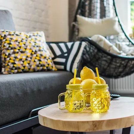 Hotelove Z Biokominkiem Stara Kuznia *