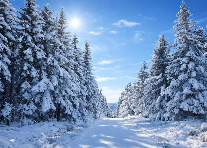 Hotelove Z Biokominkiem Stara Kuznia Апартаменты Карпач