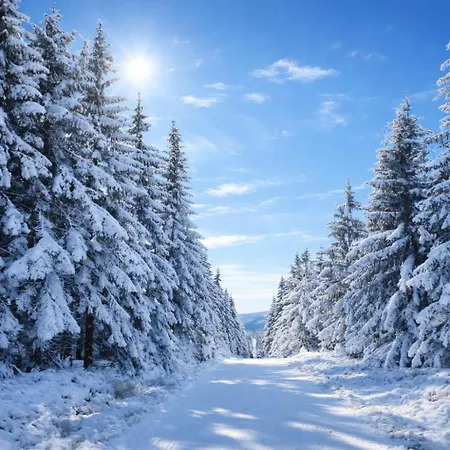 Hotelove Z Biokominkiem Stara Kuźnia Apartament Karpacz