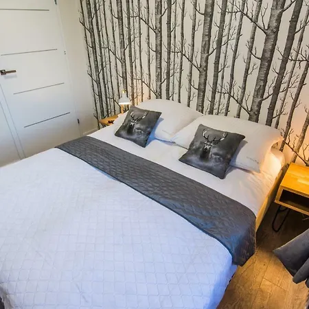 Hotelove Z Biokominkiem Stara Kuznia Apartment *