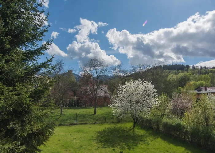 Hotelove Z Biokominkiem Stara Kuźnia *